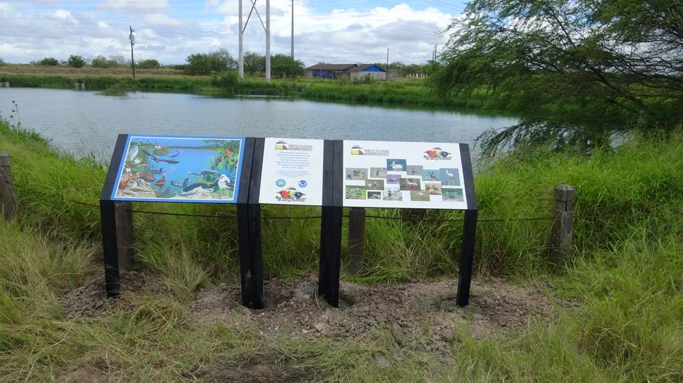 The city of San Benito and Texas Water Resources Institute staff installed educational and interpretive signage to provide information about the project, native wildlife and coastal resources and stewardship.